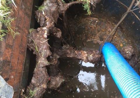 11355598_864632606924207_489376771_n-1 pumping a drain